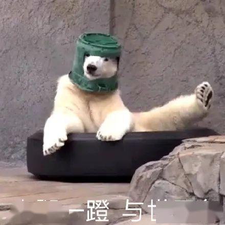 你爆料我吃瓜沙雕动画视频,一场视觉盛宴的狂欢之旅